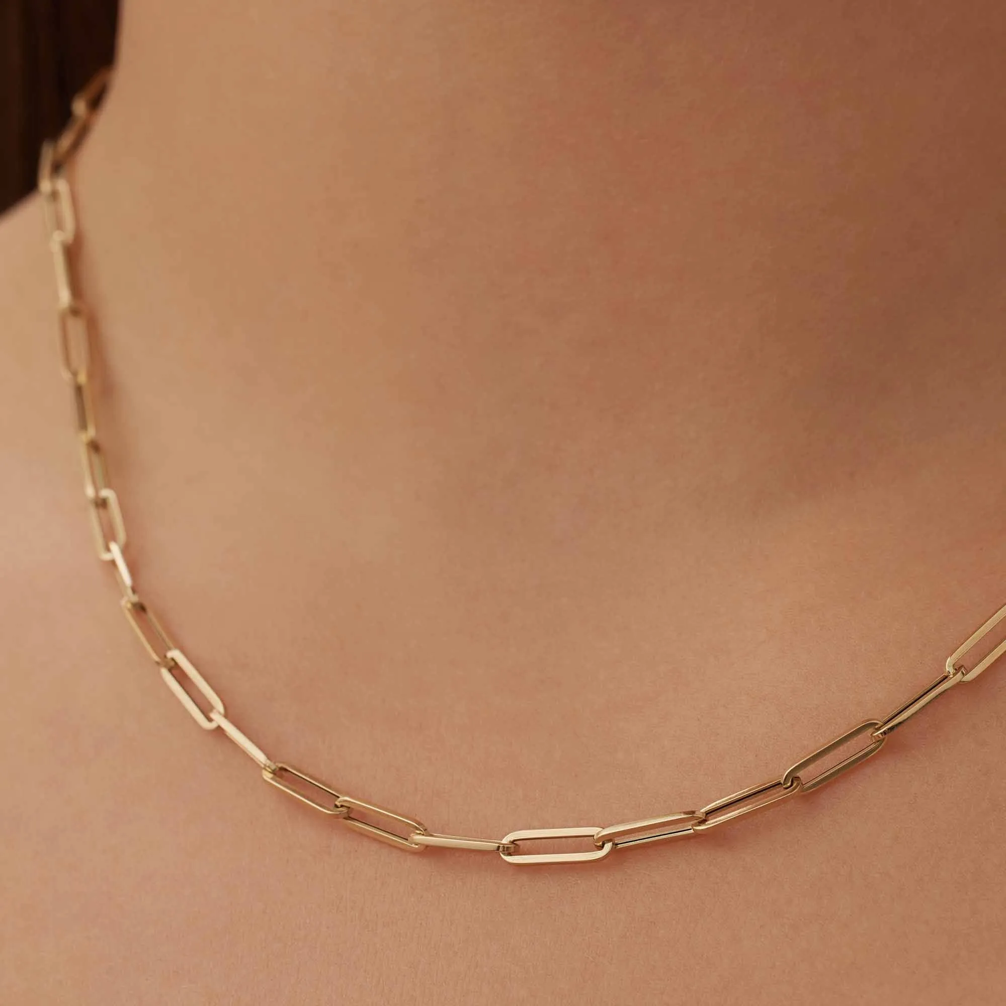 Aidee Odile 14 karat gold link necklace