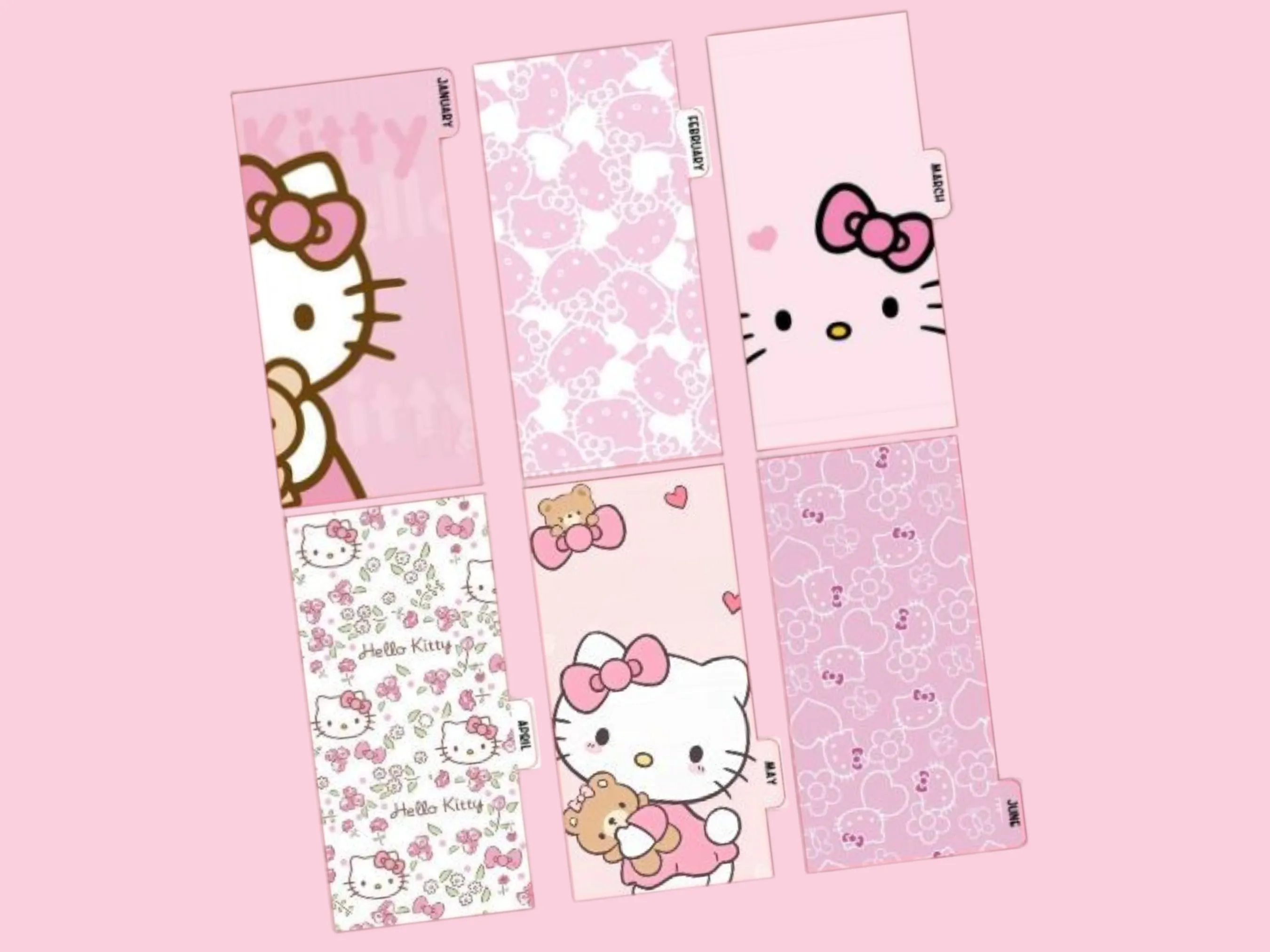 Cash Envelopes | HK PINK | 12 month Set