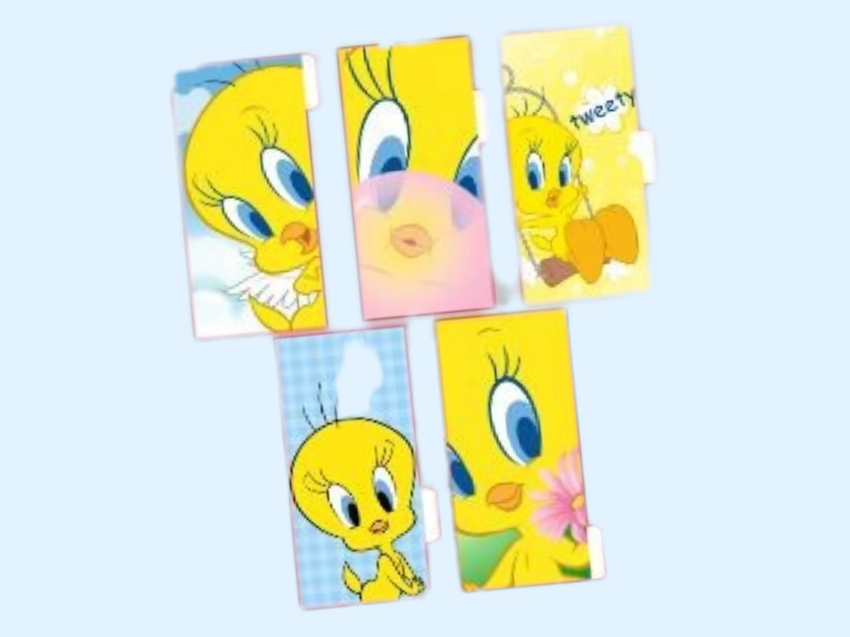 Cash Envelopes | Tweety | Set of 5