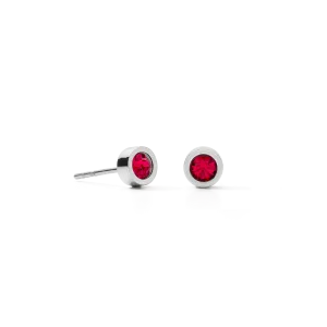 Earrings Sparkling Dot silver red