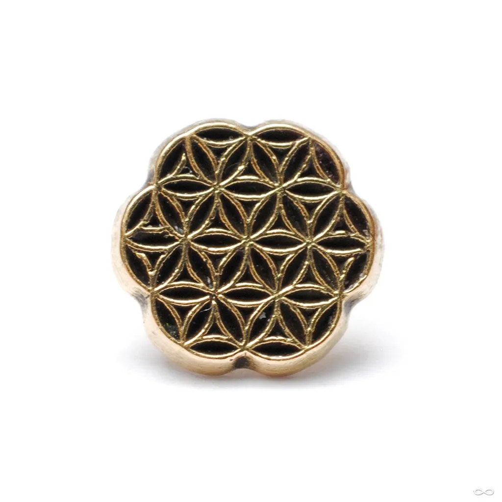 Forty3 Press-fit End in Gold from Maya Jewelry